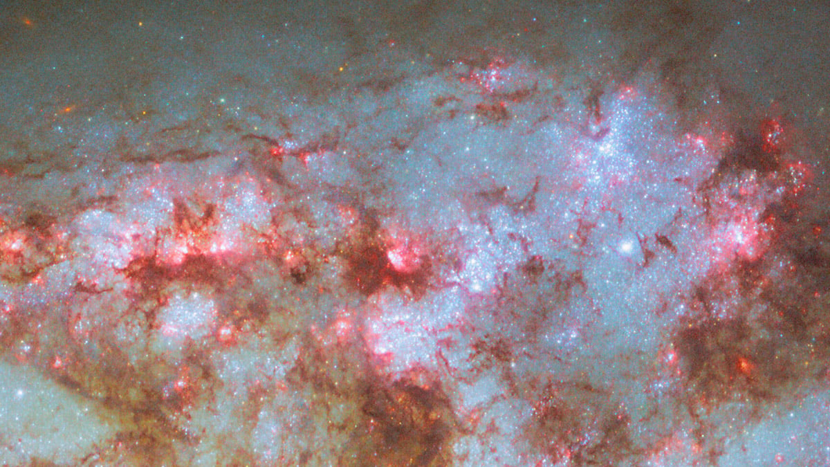 A cropped view from Hubble's new image of NGC 1792, showing the star-forming regions (red/pink) and the young clusters (blue). Credit: ESA/Hubble & NASA, D. Thilker, F. Belfiore, J. Lee and the PHANGS-HST Team