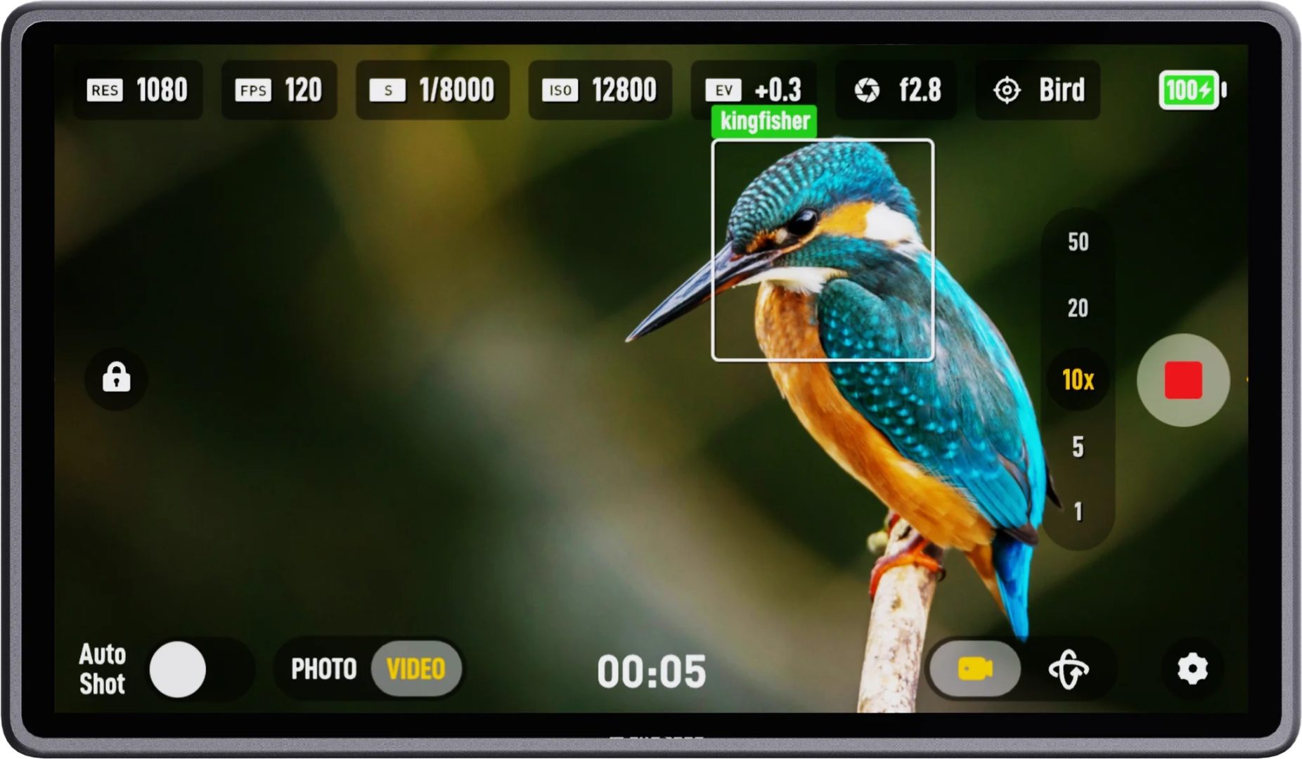 RocX camera