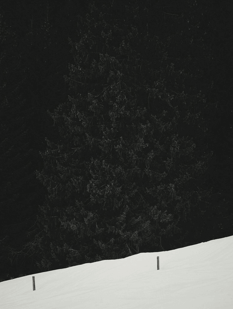 These Black and White Nature Photography Contest Winners Are The Calm Antidote To World Politics We All Need