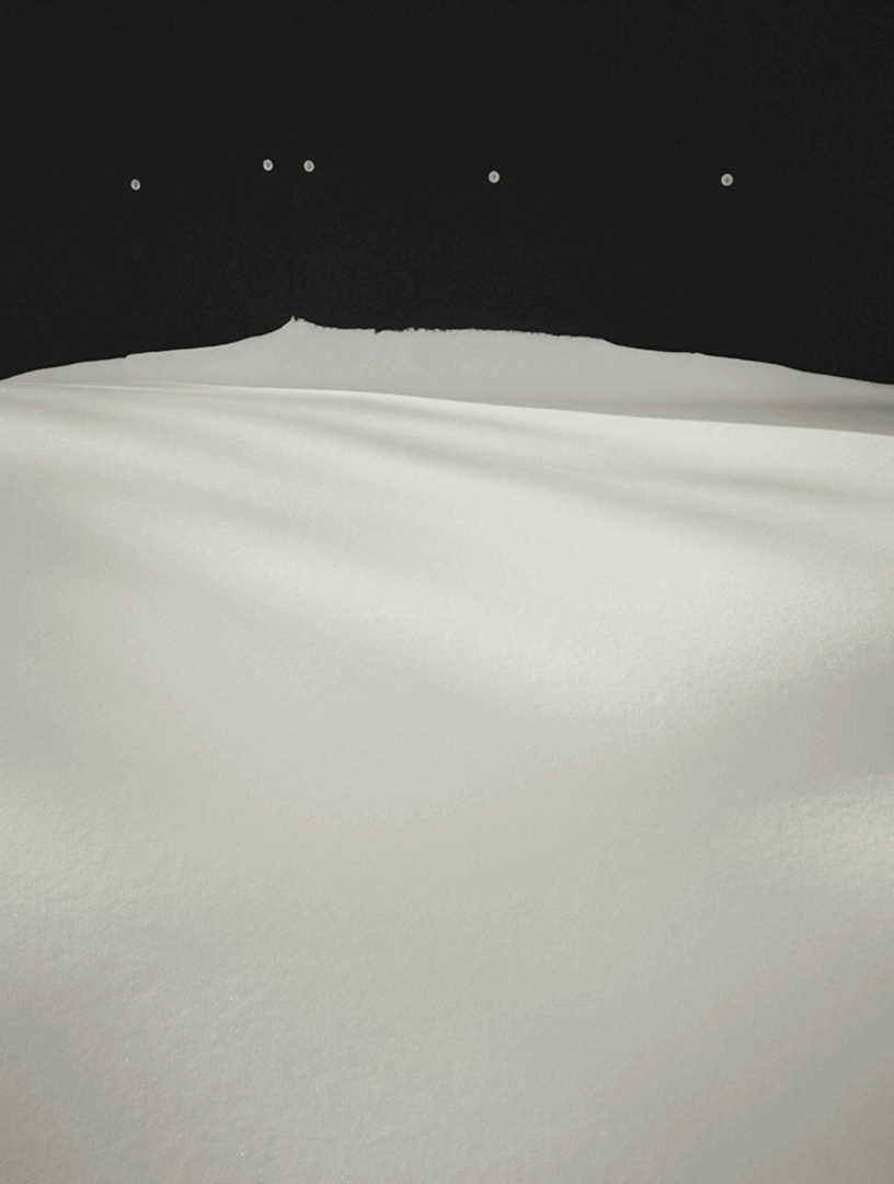 These Black and White Nature Photography Contest Winners Are The Calm Antidote To World Politics We All Need