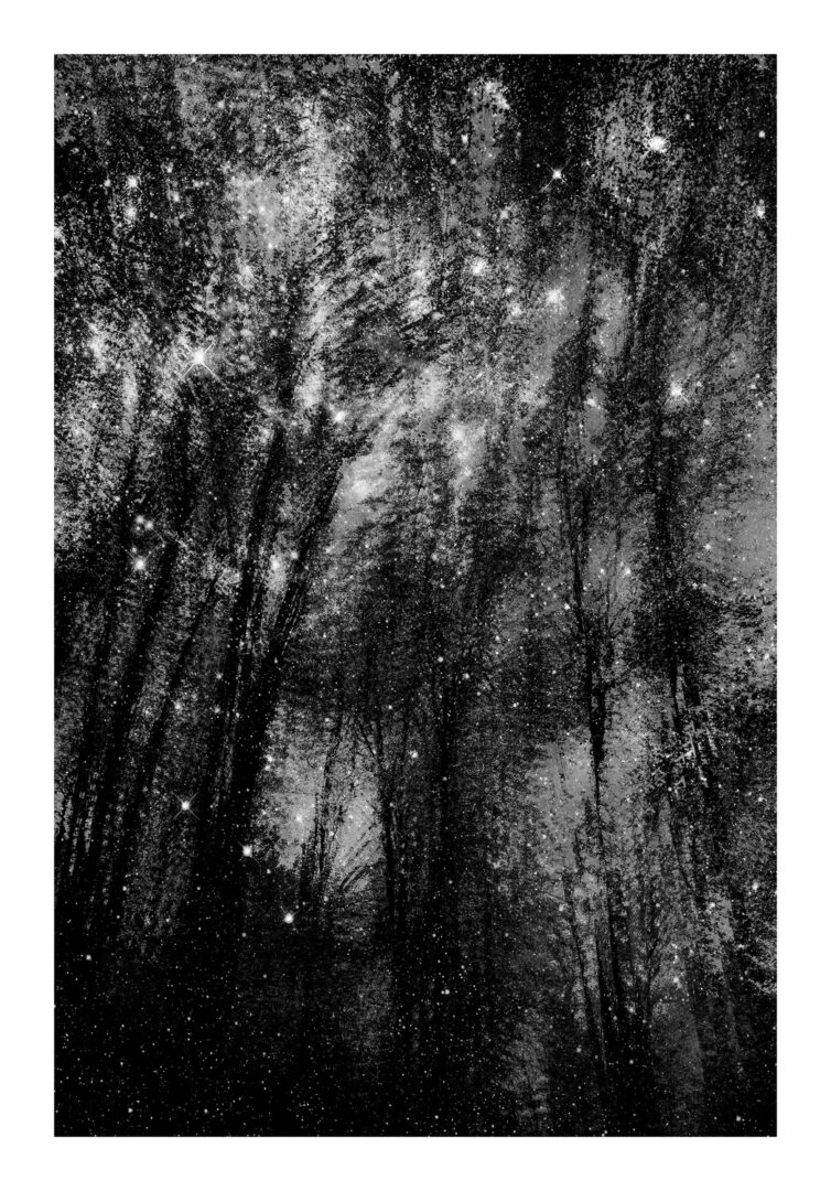 These Black and White Nature Photography Contest Winners Are The Calm Antidote To World Politics We All Need