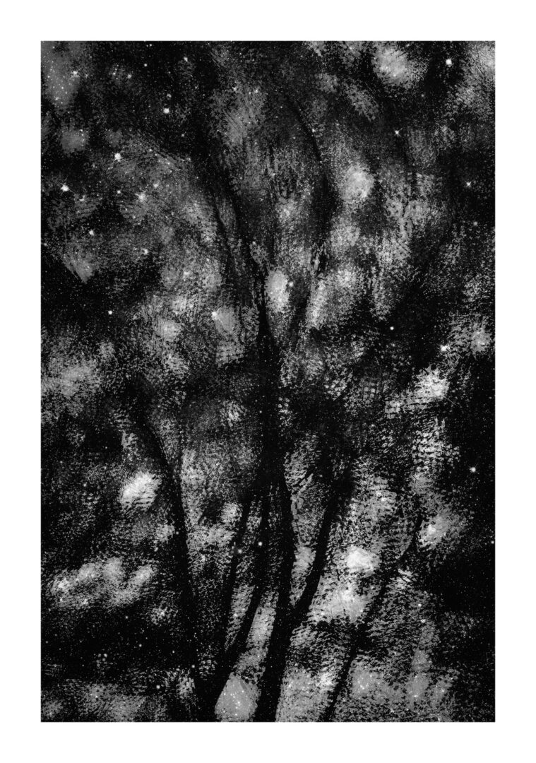 These Black and White Nature Photography Contest Winners Are The Calm Antidote To World Politics We All Need