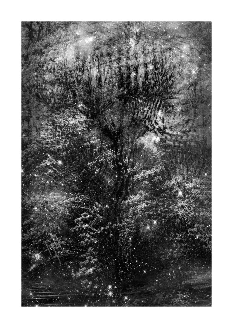 These Black and White Nature Photography Contest Winners Are The Perfect Calm Antidote To World Politics