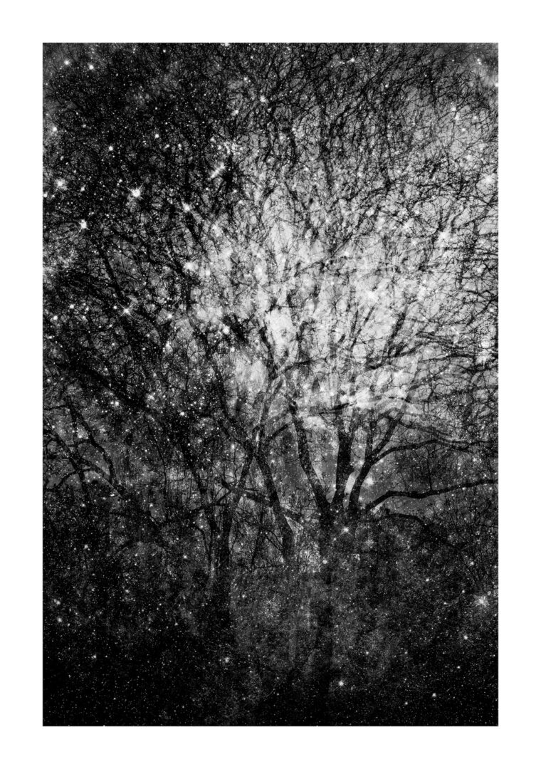 These Black and White Nature Photography Contest Winners Are The Perfect Calm Antidote To World Politics