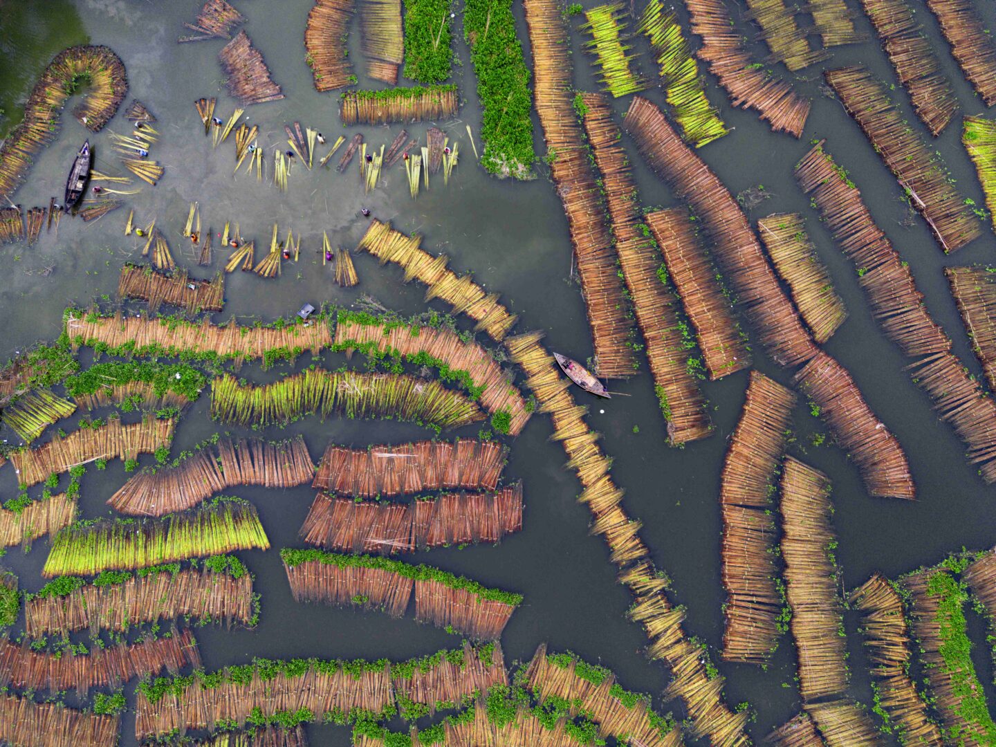 Capturing Ecology 2025