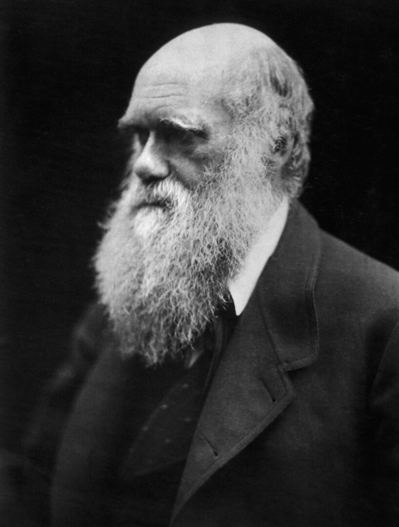 historic photographs