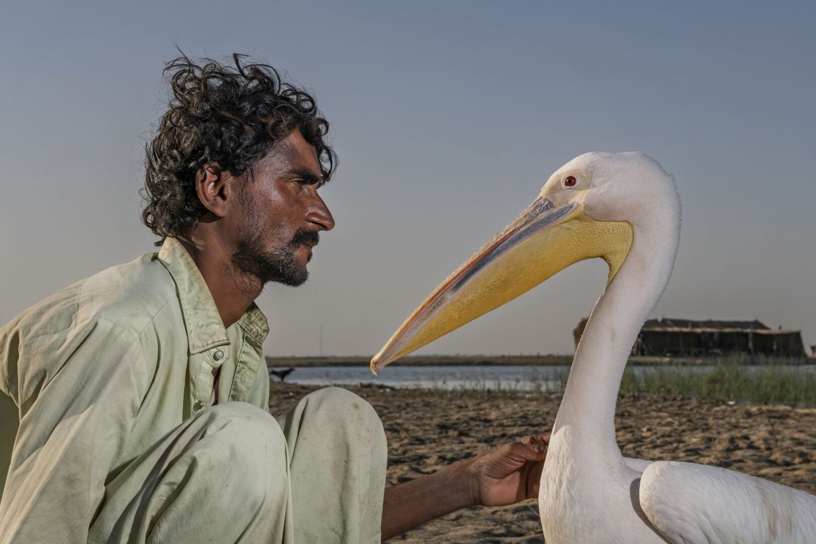 AAP Magazine 53: Travels