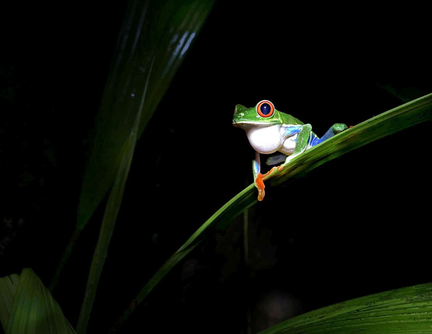 Sony World Photography Awards 2026 student and youth shortlists