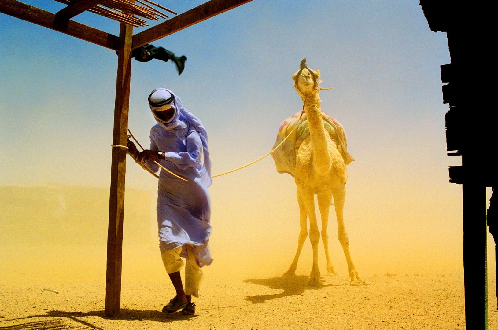AAP Magazine 53: Travels