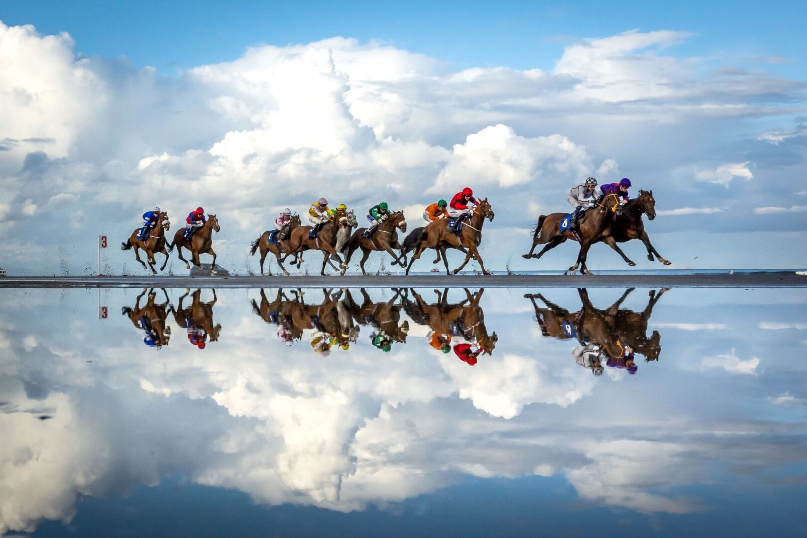 2026 world sports photography awards