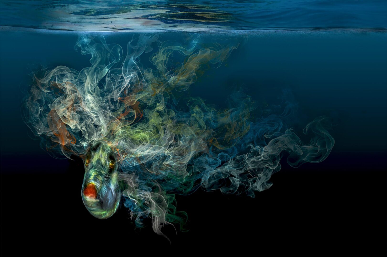 The Ocean Art 2025 Winners Will Leave You Holding Your Breath