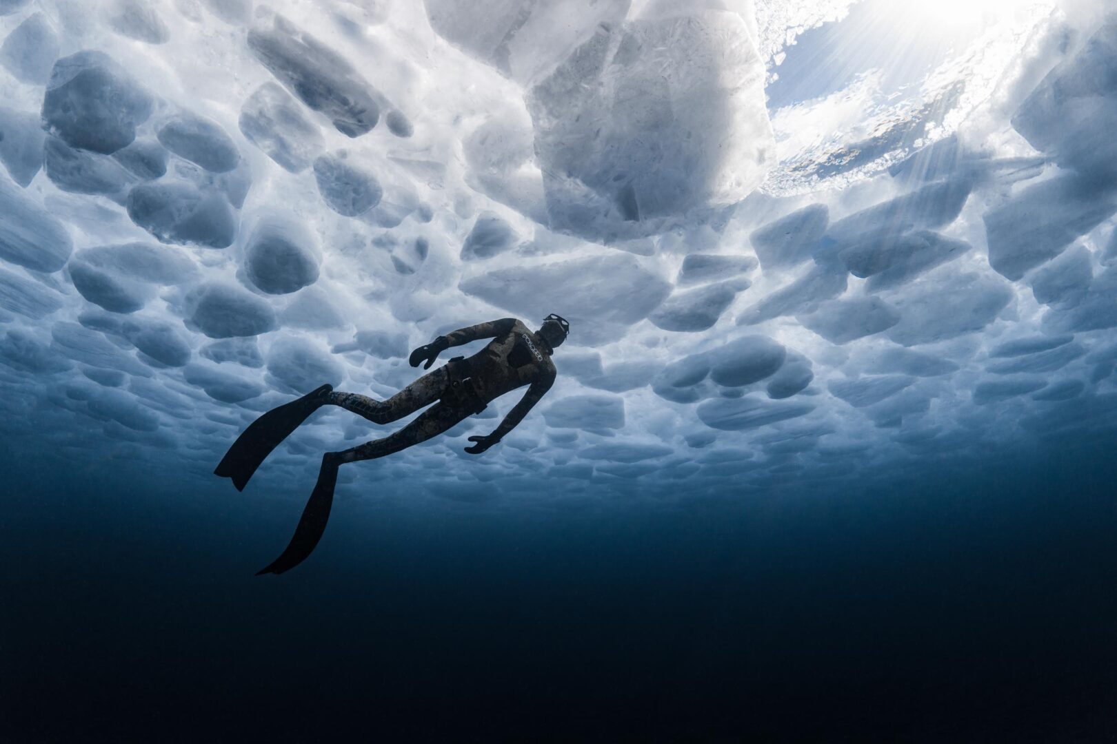 The Ocean Art 2025 Winners Will Leave You Holding Your Breath