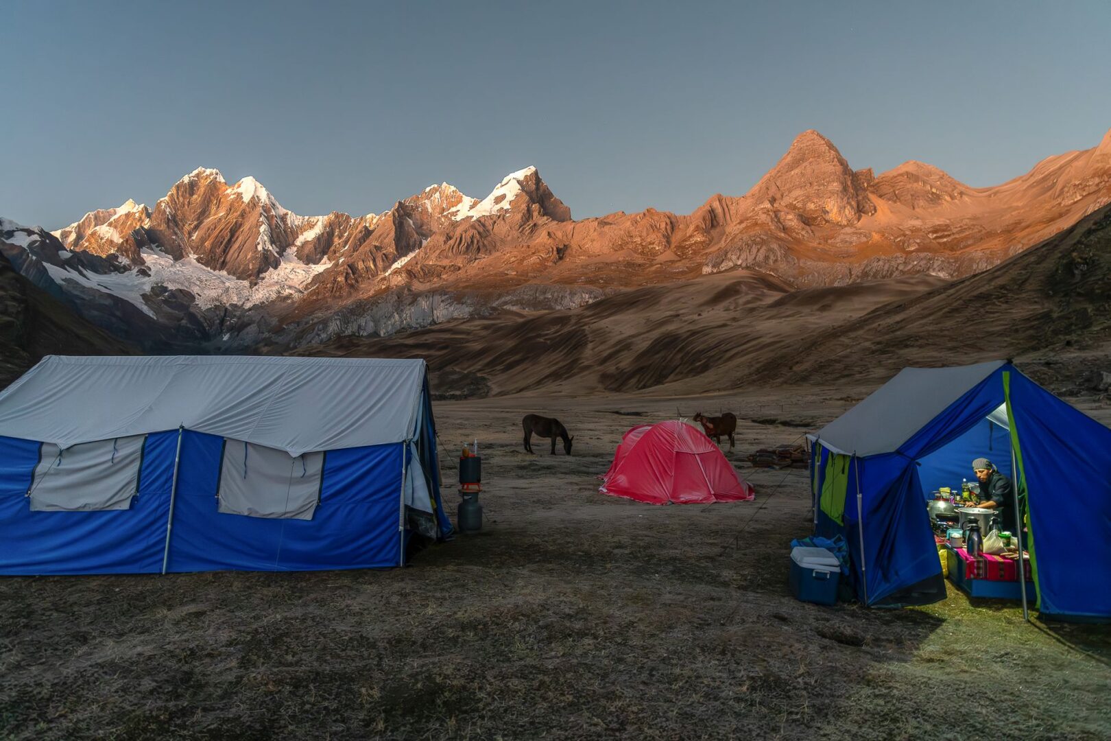 AAP Magazine 53: Travels