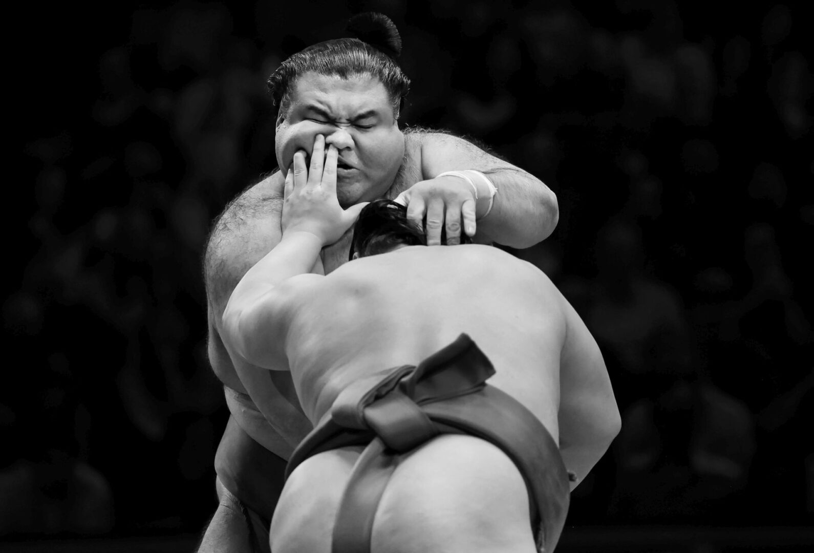 The Grand Sumo Tournament, London - day five
