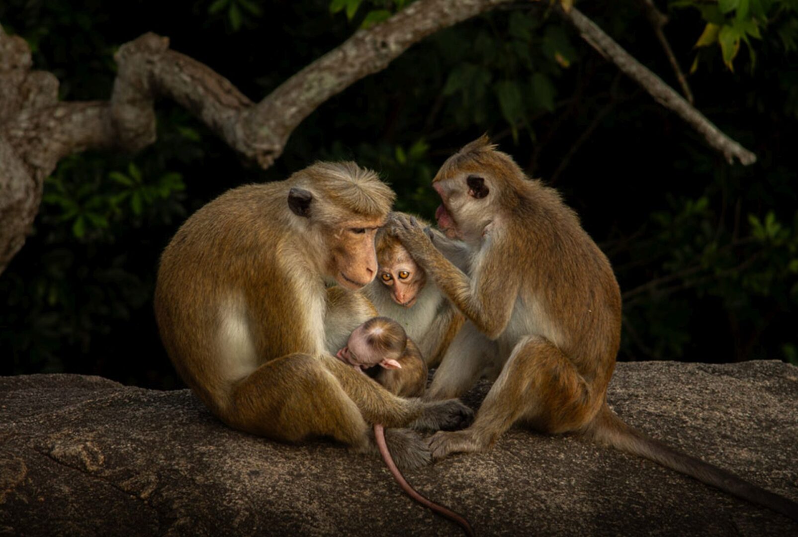 Sony World Photography Awards 2026 student and youth shortlists