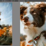 Zoner Studio AI photo editing