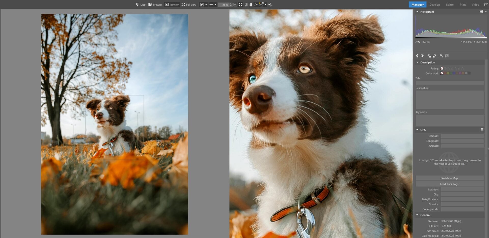 Zoner Studio AI photo editing