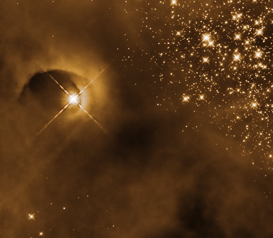 A curving cavity in a cloud of gas has been hollowed out by a protostar in this Hubble image. Credit: NASA, ESA, and T. Megeath (University of Toledo); Processing: Gladys Kober (NASA/Catholic University of America)