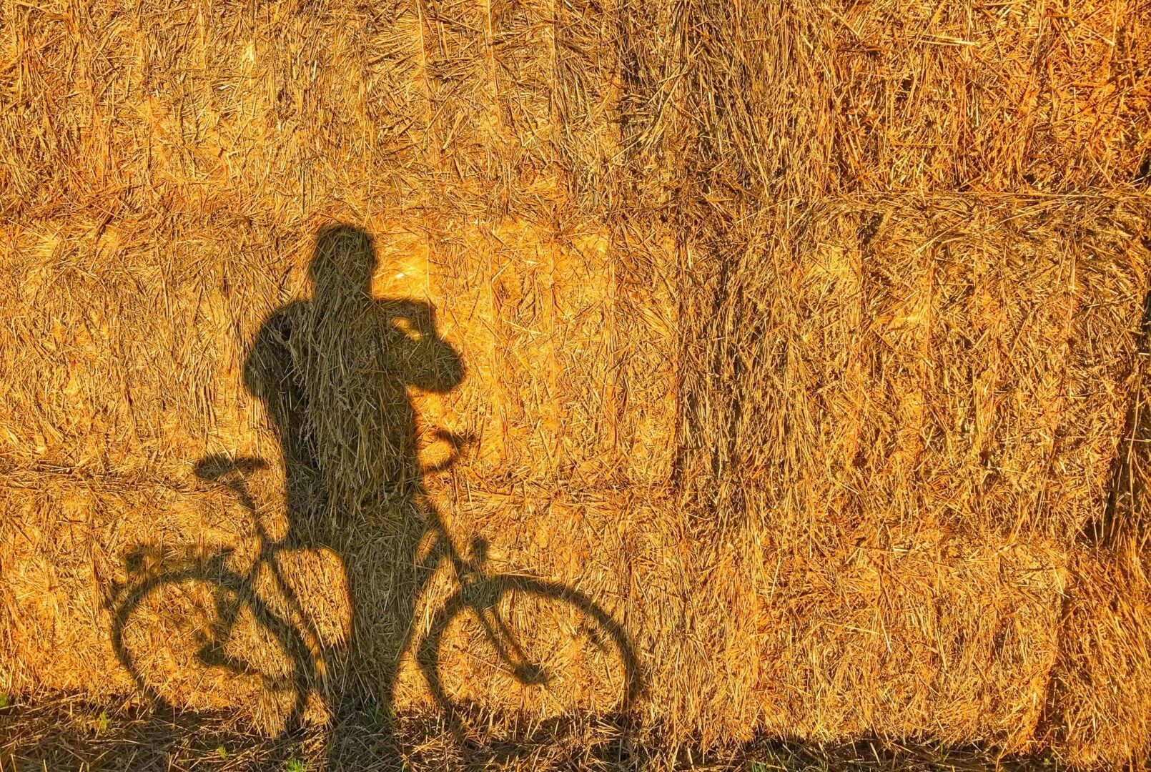 see better light for photography