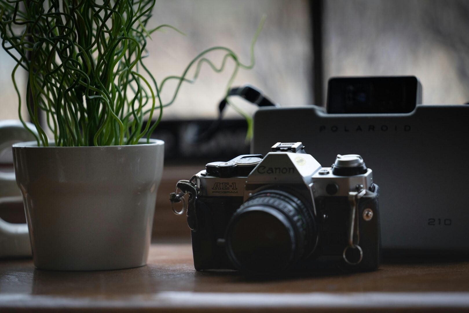 film photography 2026