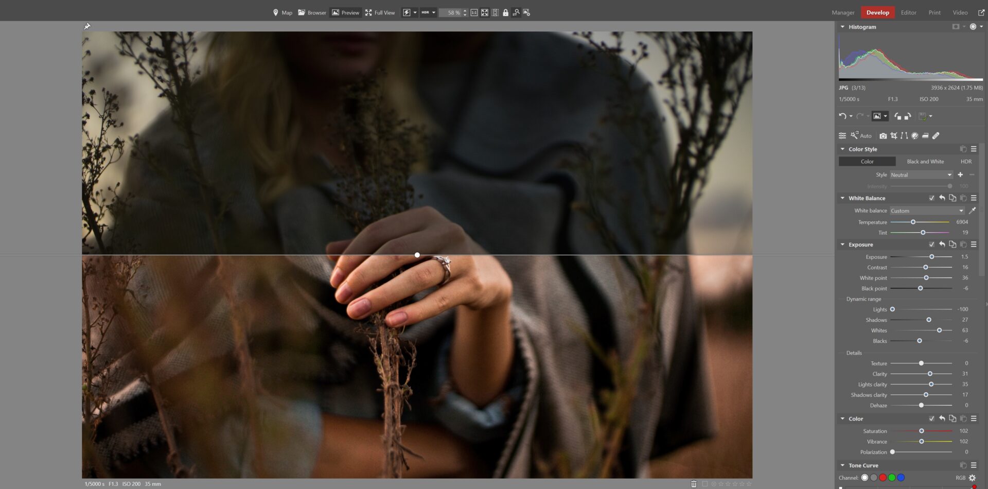Zoner Studio AI photo editing