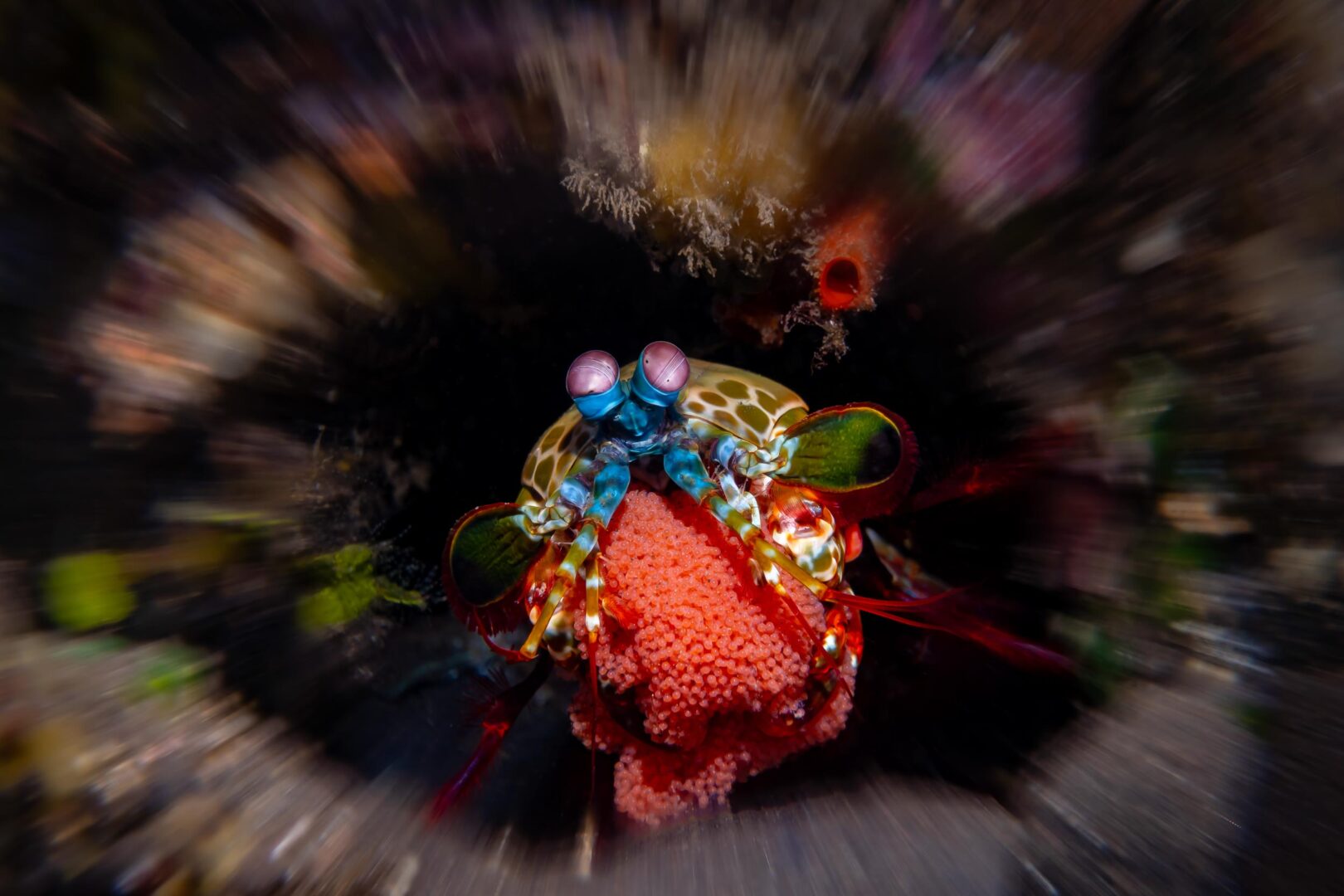 The Ocean Art 2025 Winners Will Leave You Holding Your Breath