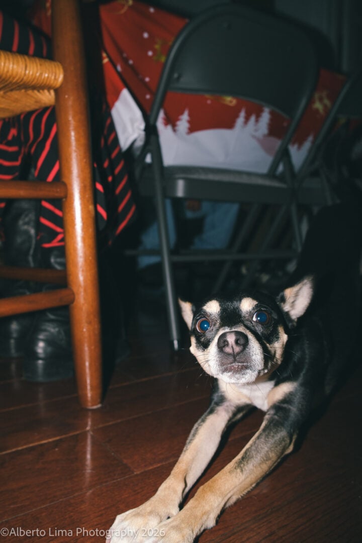 Sample image taken with the Viltrox WCL-X100VI