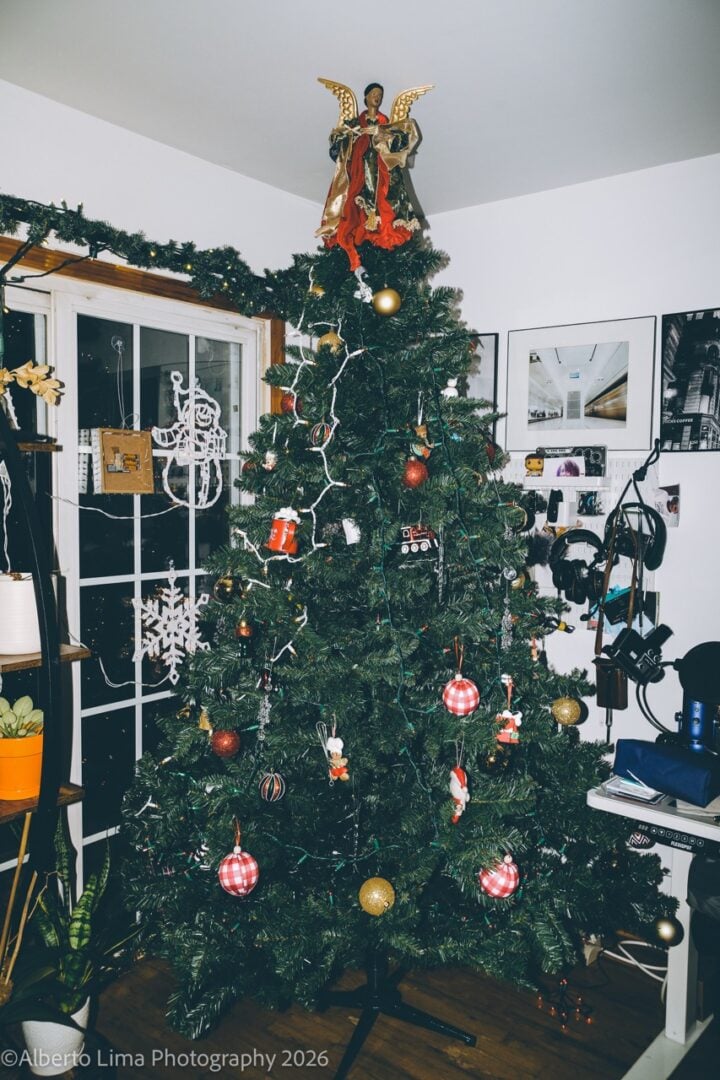 Sample image taken with the Viltrox WCL-X100VI