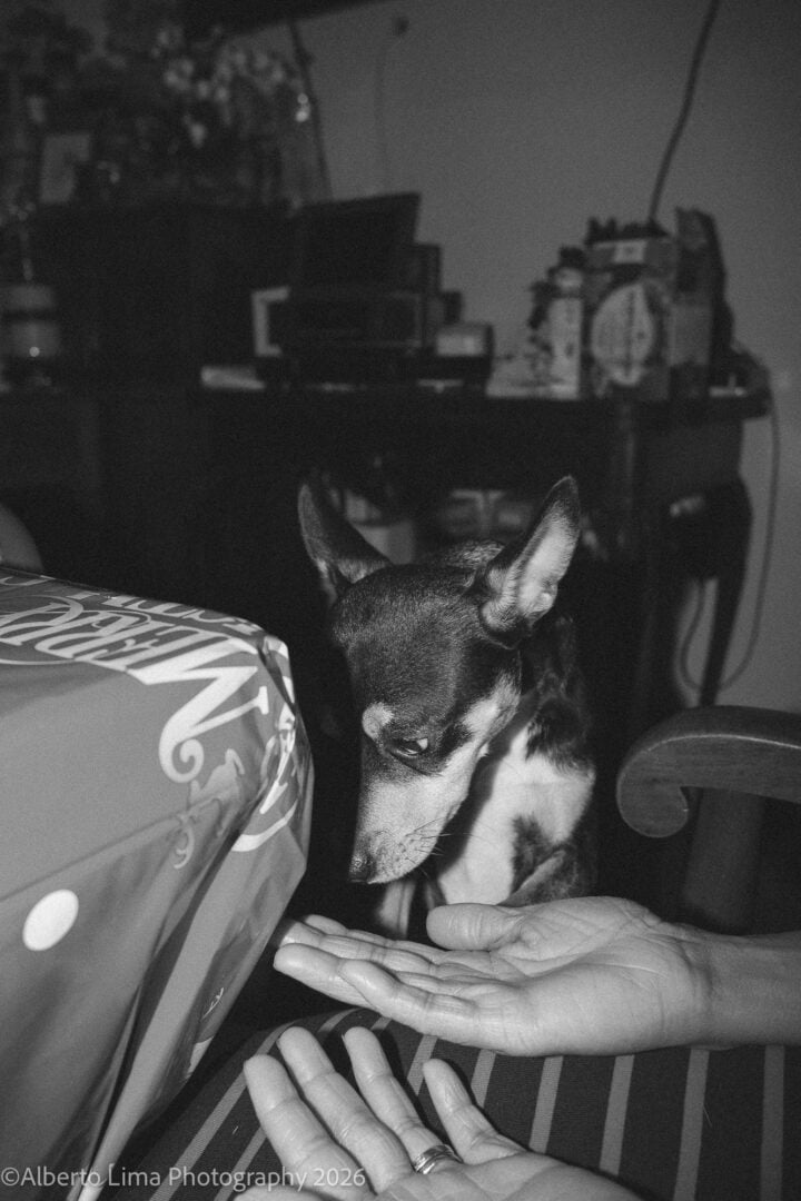 Sample image taken with the Viltrox WCL-X100VI