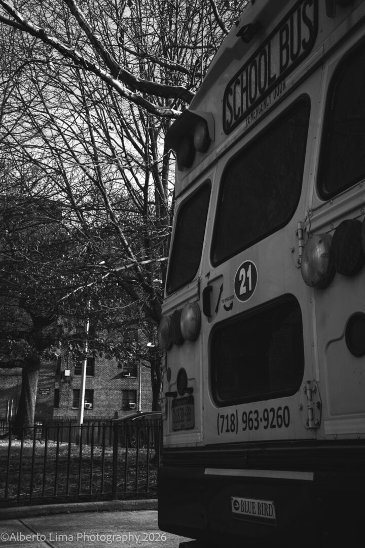 Sample image taken with the Viltrox TCL-X100VI