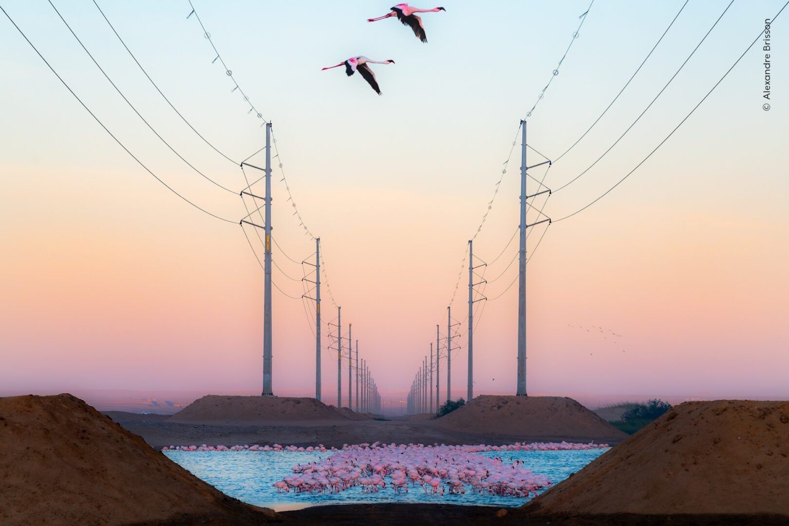  WPOTY 26