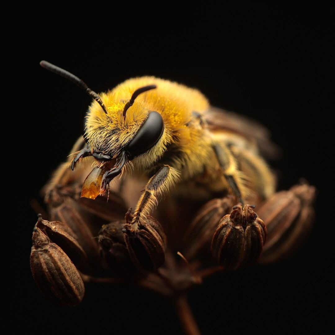World Nature Photographer of the Year 2026