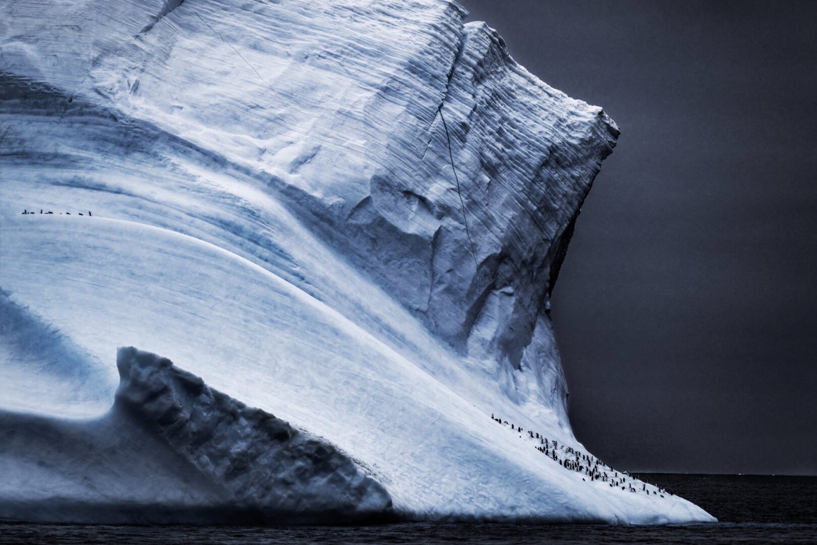 World Nature Photographer of the Year 2026