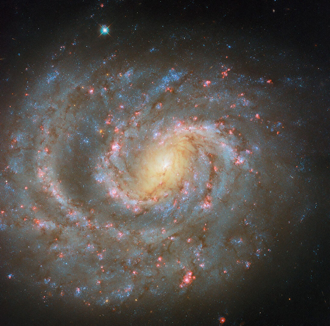 This NASA/ESA Hubble Space Telescope image features the spiral galaxy NGC 1637. Credit: ESA/Hubble & NASA, D. Thilker