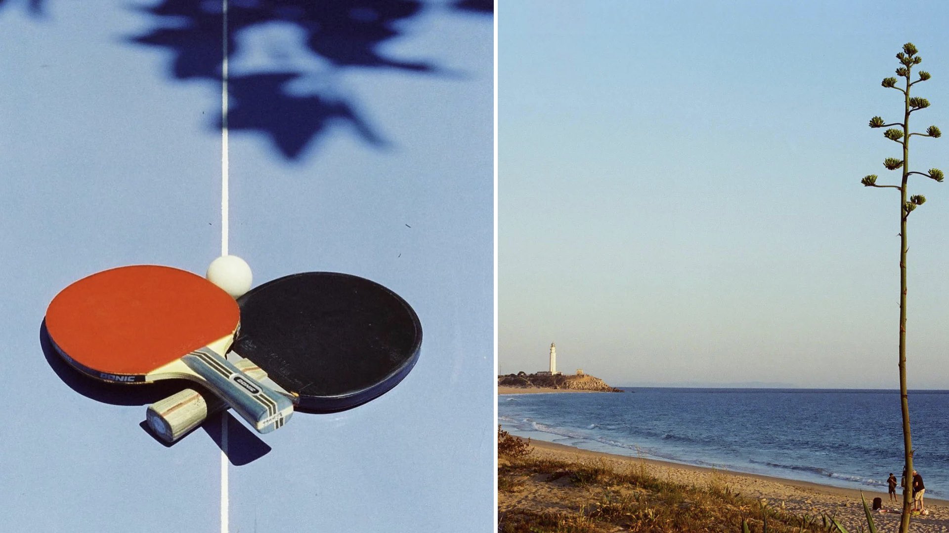 Sample photographs