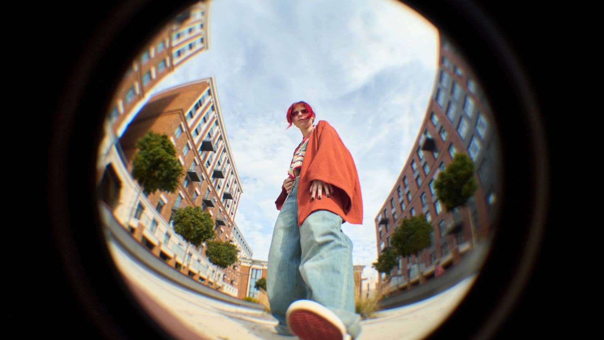 Fisheye and Rectilinear Lenses