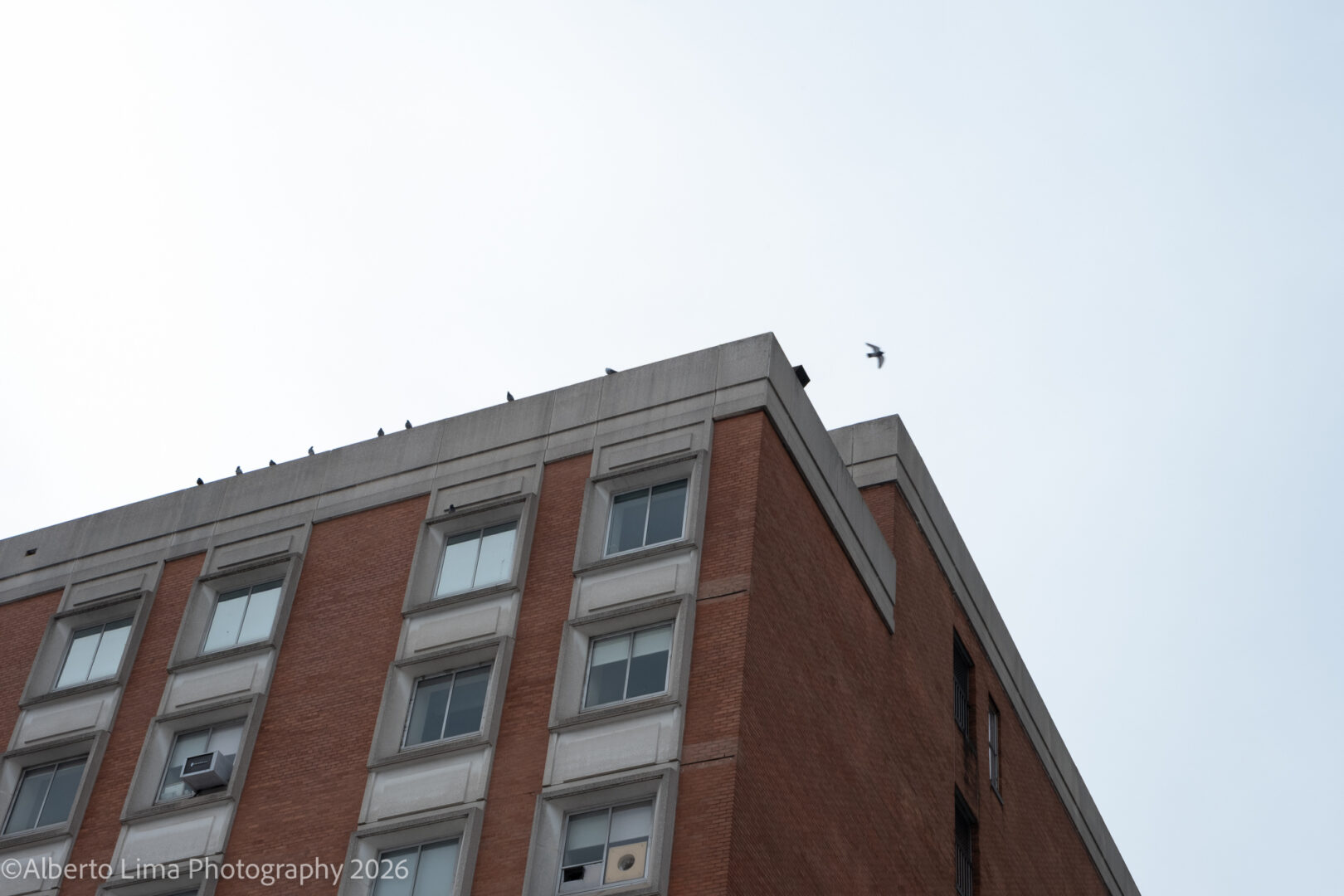 Sample image taken with the Fujifilm X-T30 III.