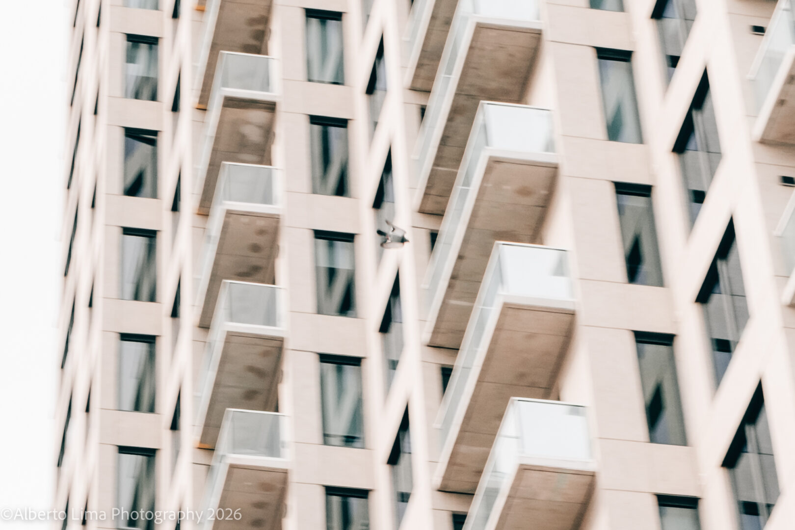 An unedited sample image taken with the Fujifilm X-T30 III.