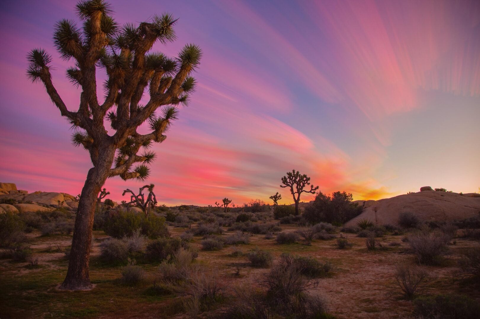 Blood Moons and Remote Islands Come Alive in These Brand New Timelapses