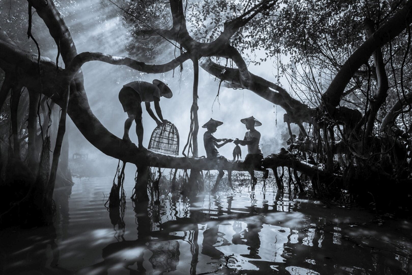 Sony World Photography Awards 2026 National Regional