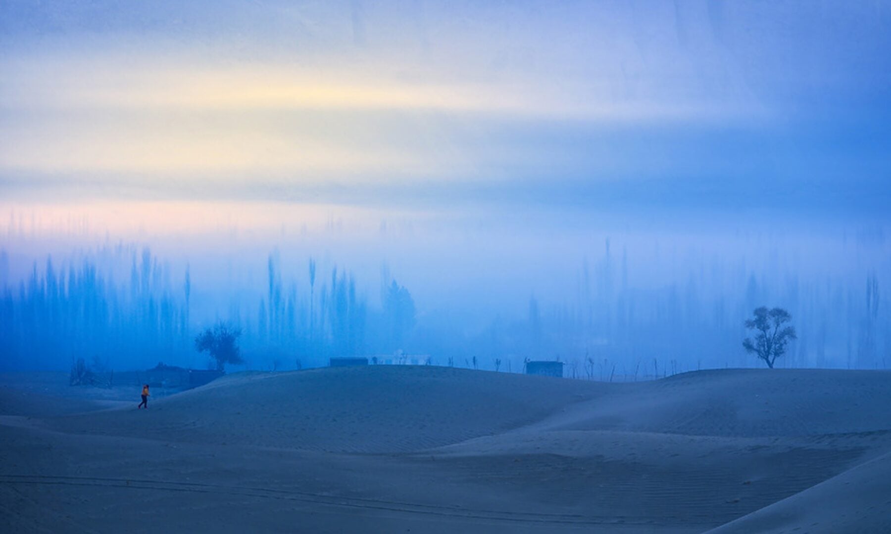 Sony World Photography Awards 2026 National Regional