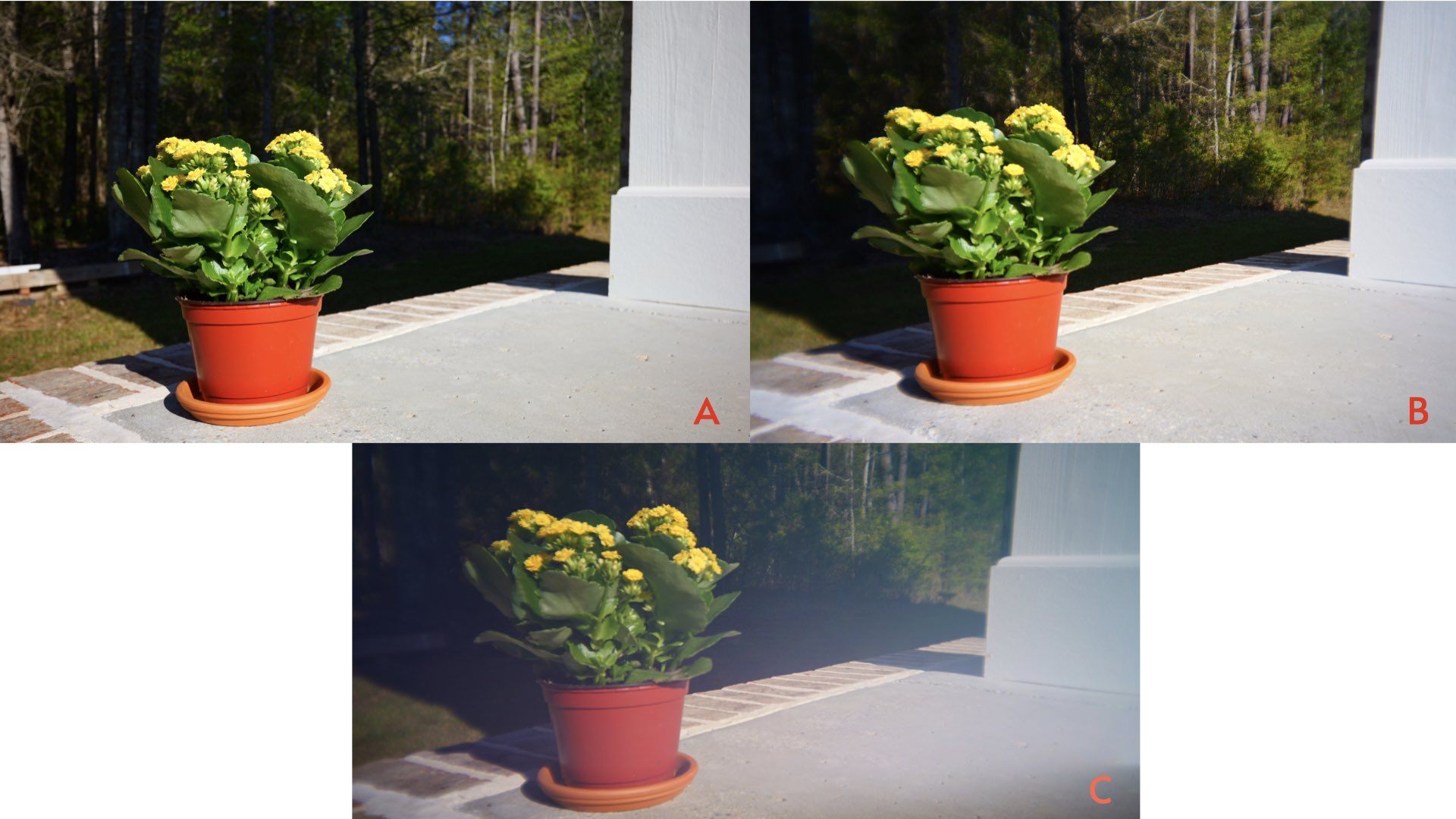 Lens comparison