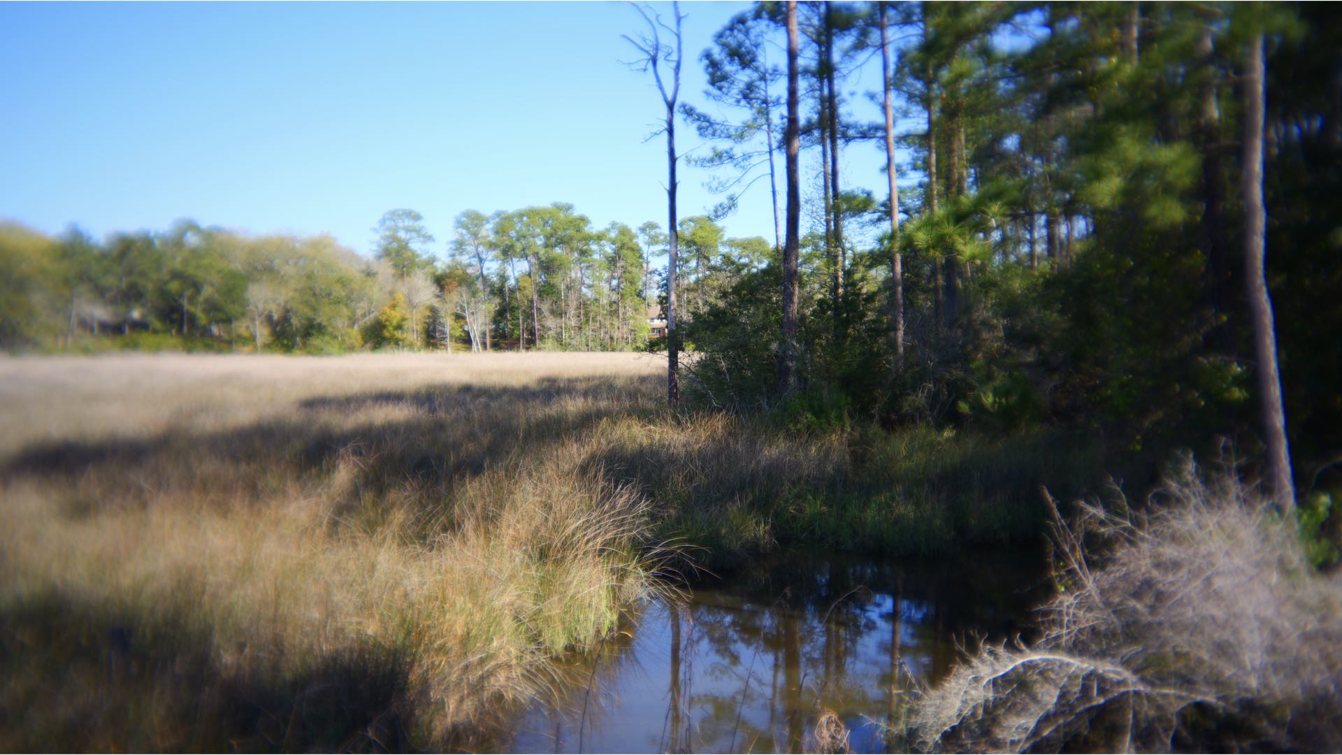 Sample photograph