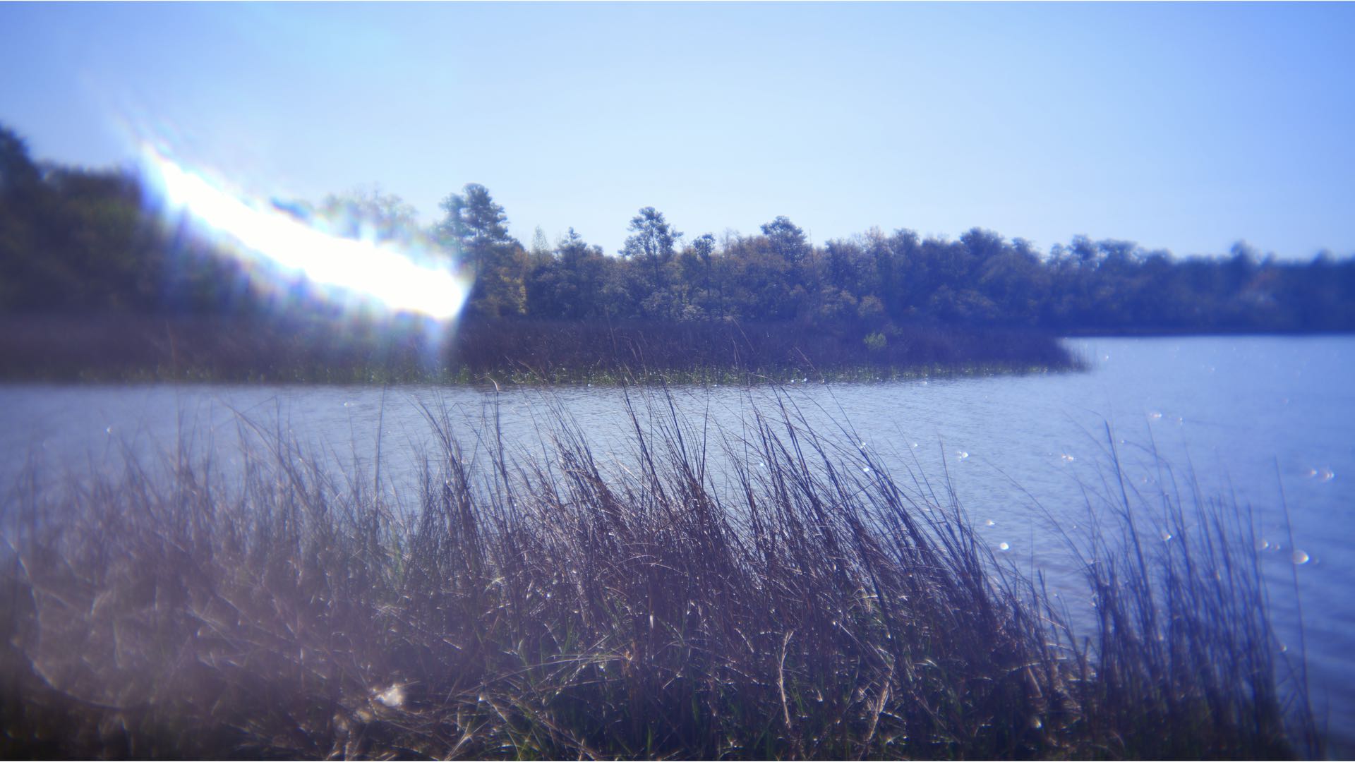 Sample photograph