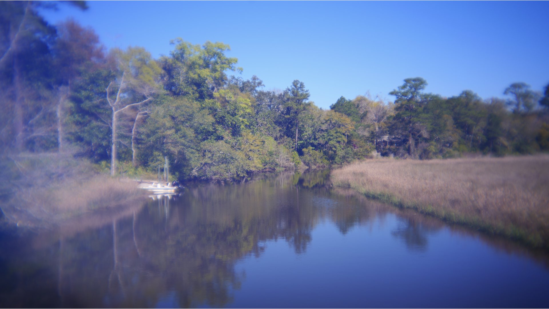 Sample photograph