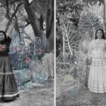 Sony World Photography Awards 2026 winner