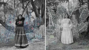 Sony World Photography Awards 2026 winner