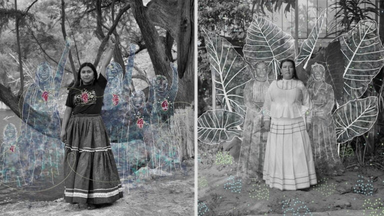 Sony World Photography Awards 2026 winner