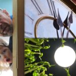 A Cake Tin, Soil, and a Camera Are All You Need to Make This Delightfully Weird Timelapse
