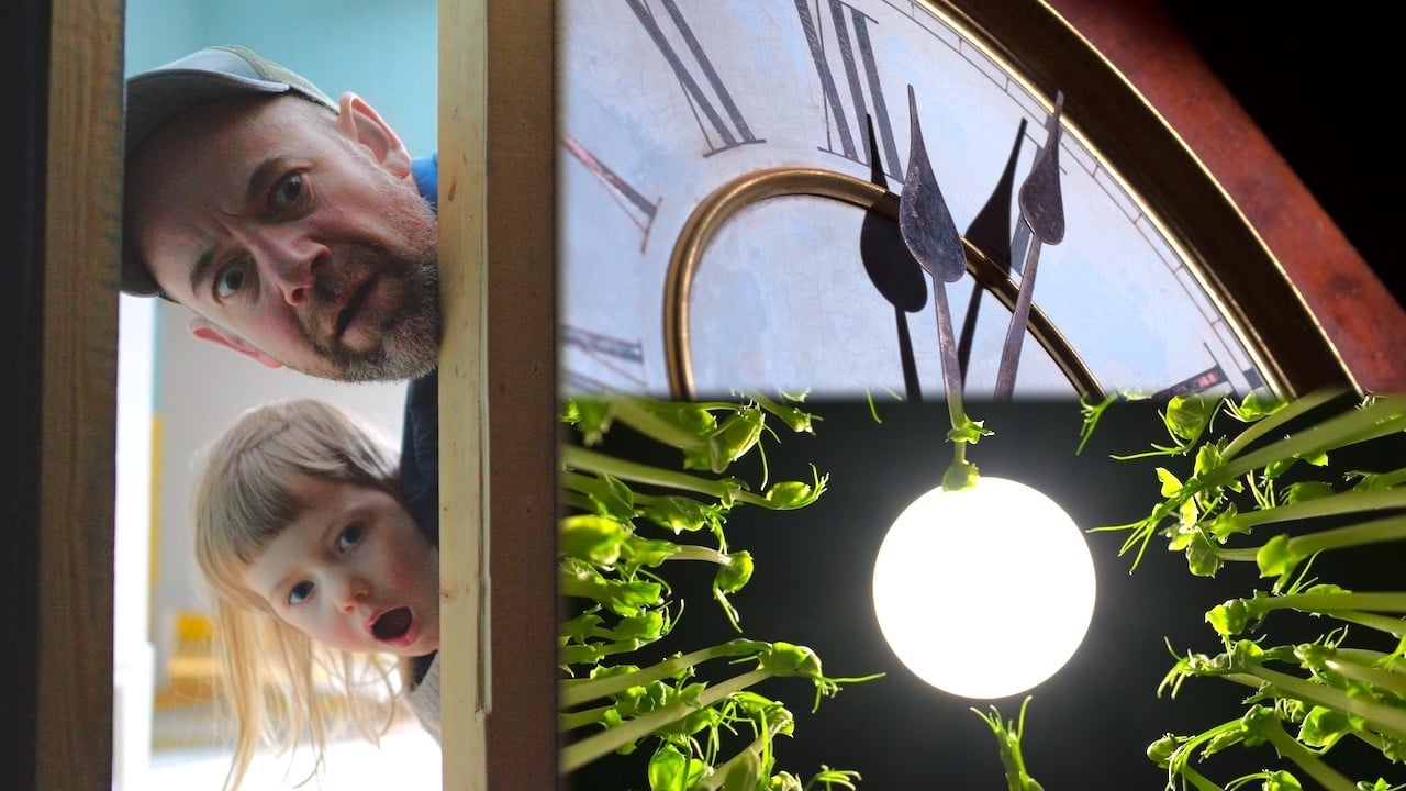 A Cake Tin, Soil, and a Camera Are All You Need to Make This Delightfully Weird Timelapse